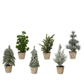 Everlands Mini Tree 20cm - 6 Assorted